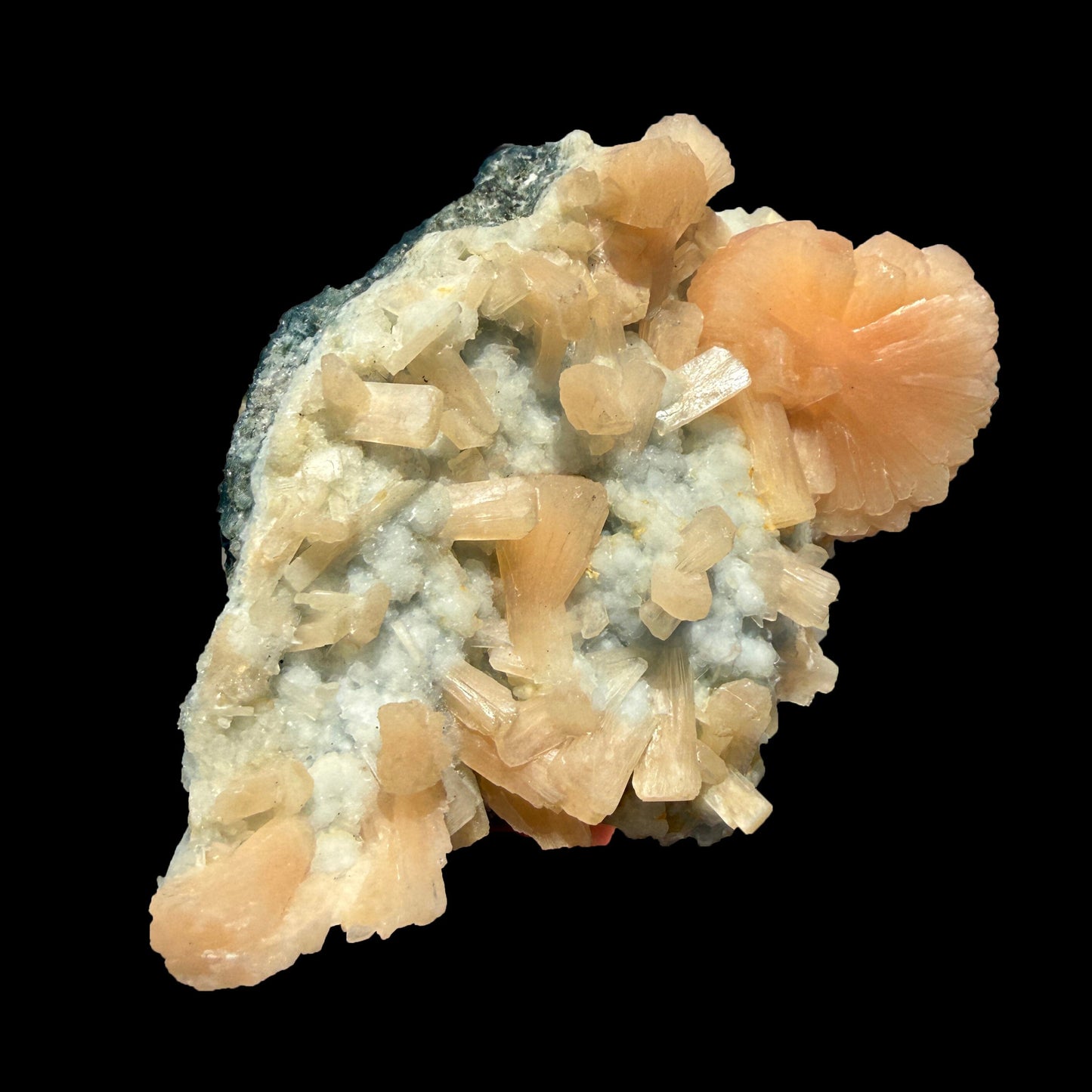Rare Stellerite Cluster on Chalcedony Matrix - Zeolite Mineral Specimen from Nashik # DKT97 Stellerite Superb Minerals 