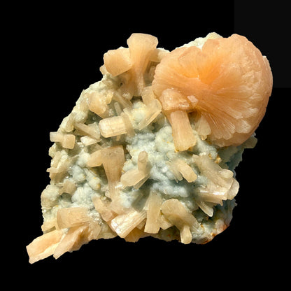 Rare Stellerite Cluster on Chalcedony Matrix - Zeolite Mineral Specimen from Nashik # DKT97 Stellerite Superb Minerals 