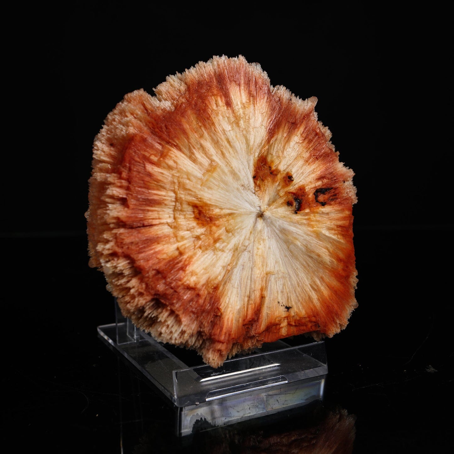 Rare "Sunflower" Orange Scolecite Disk with Micro-Chalcedony Inclusions - Museum-Grade Specimen from Nashik, India# B 7203 Scolecite Superb Minerals 
