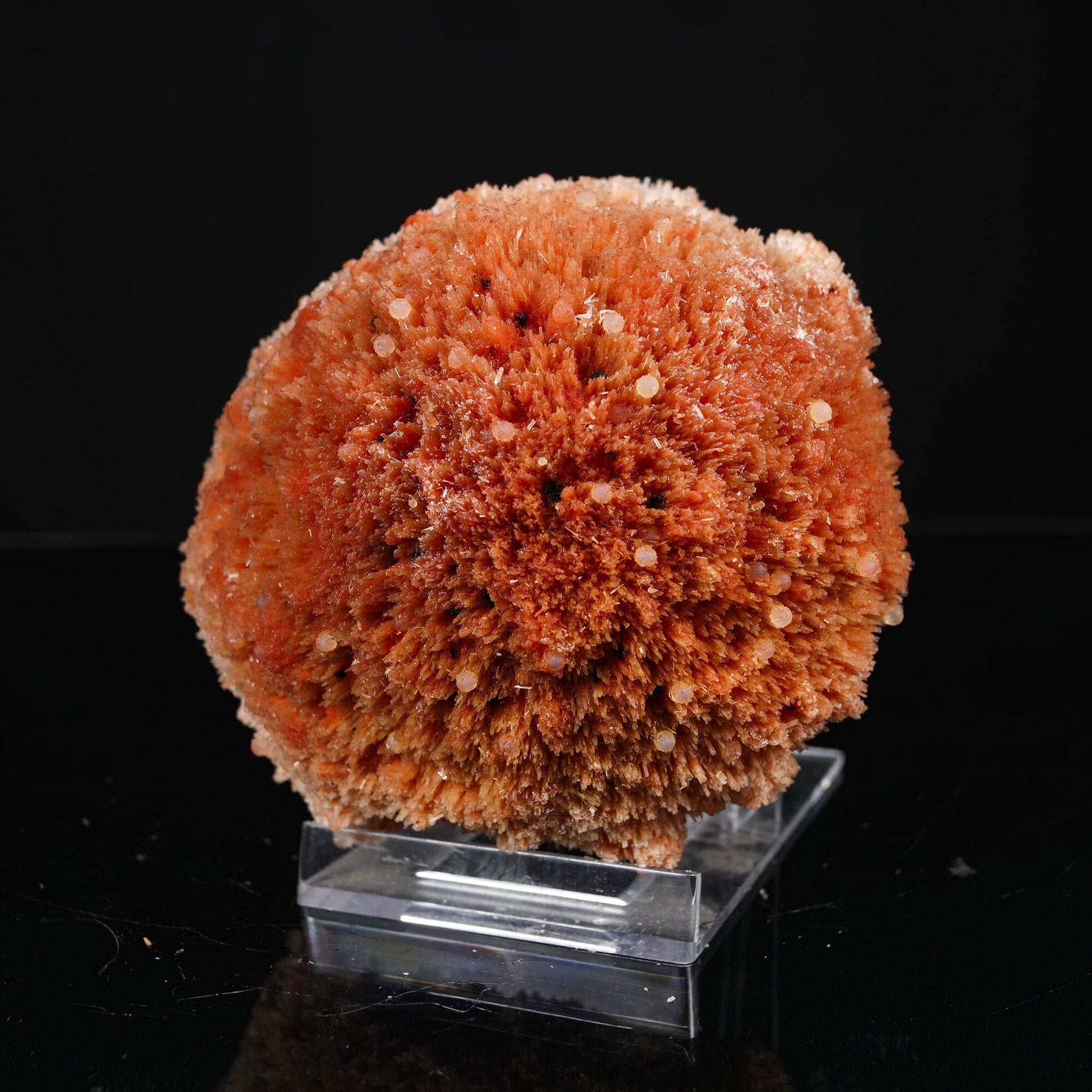 Rare "Sunflower" Orange Scolecite Disk with Micro-Chalcedony Inclusions - Museum-Grade Specimen from Nashik, India# B 7203 Scolecite Superb Minerals 