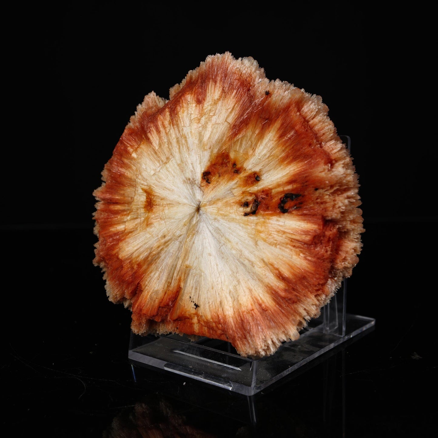 Rare "Sunflower" Orange Scolecite Disk with Micro-Chalcedony Inclusions - Museum-Grade Specimen from Nashik, India# B 7203 Scolecite Superb Minerals 