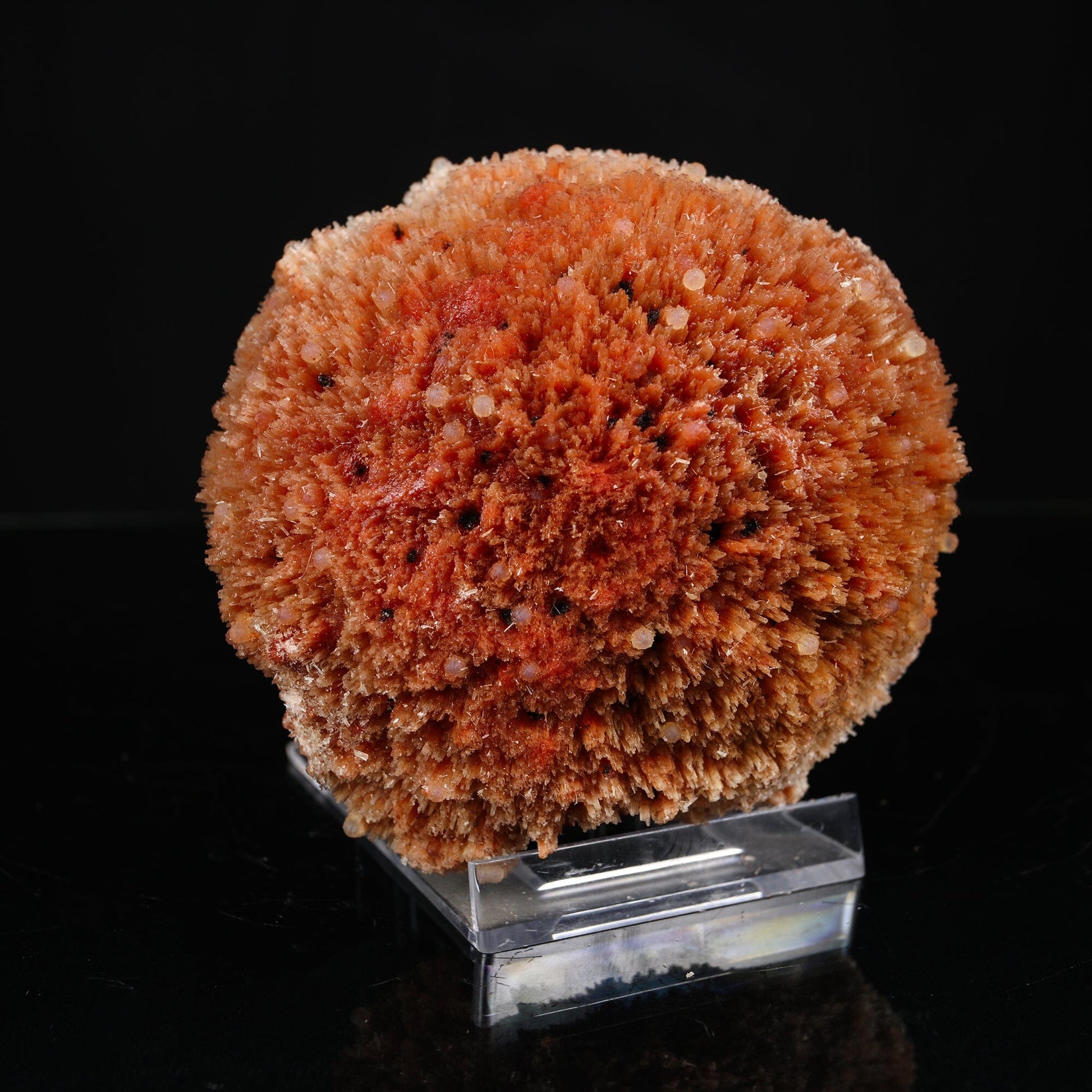 Rare "Sunflower" Orange Scolecite Disk with Micro-Chalcedony Inclusions - Museum-Grade Specimen from Nashik, India# B 7203 Scolecite Superb Minerals 