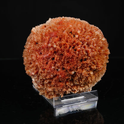 Rare "Sunflower" Orange Scolecite Disk with Micro-Chalcedony Inclusions - Museum-Grade Specimen from Nashik, India# B 7203 Scolecite Superb Minerals 