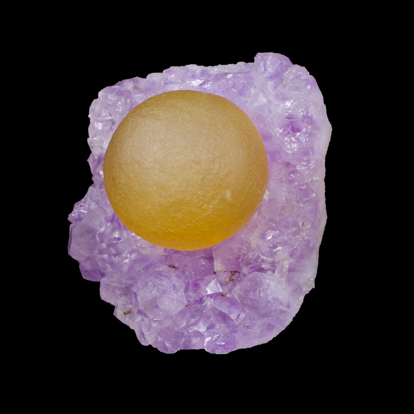 Rare Yellow Botryoidal Fluorite on Lavender Amethyst Natural Specimen from Madhya Pradesh, India# B 7152 Fluorite Superb Minerals 