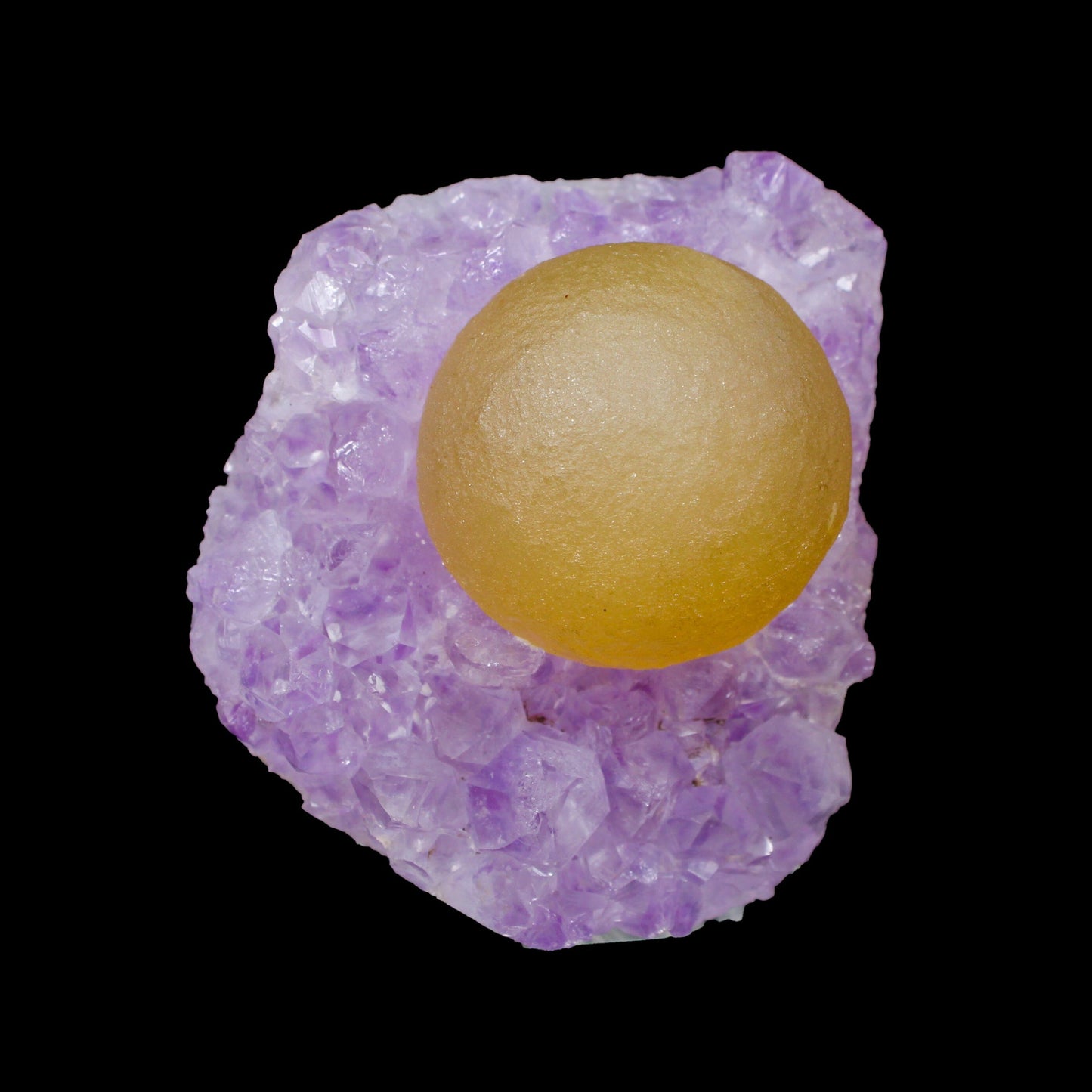 Rare Yellow Botryoidal Fluorite on Lavender Amethyst Natural Specimen from Madhya Pradesh, India# B 7152 Fluorite Superb Minerals 
