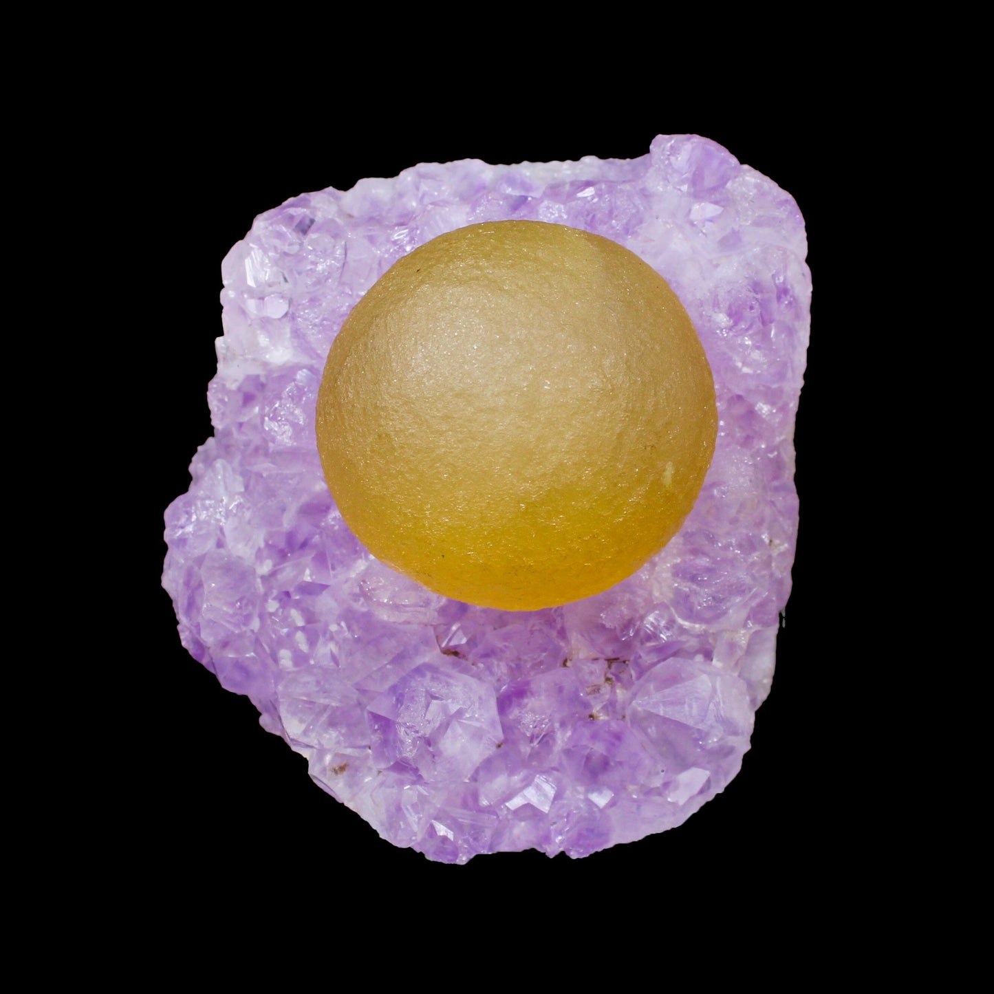 Rare Yellow Botryoidal Fluorite on Lavender Amethyst Natural Specimen from Madhya Pradesh, India# B 7152 Fluorite Superb Minerals 