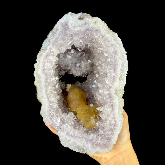 Rare Yellow Botryoidal Fluorite on Sparkling Amethyst Vug Geode – Unique Natural Mineral Specimen from Madhya Pradesh, India # DKT159 Fluorite Superb Minerals 