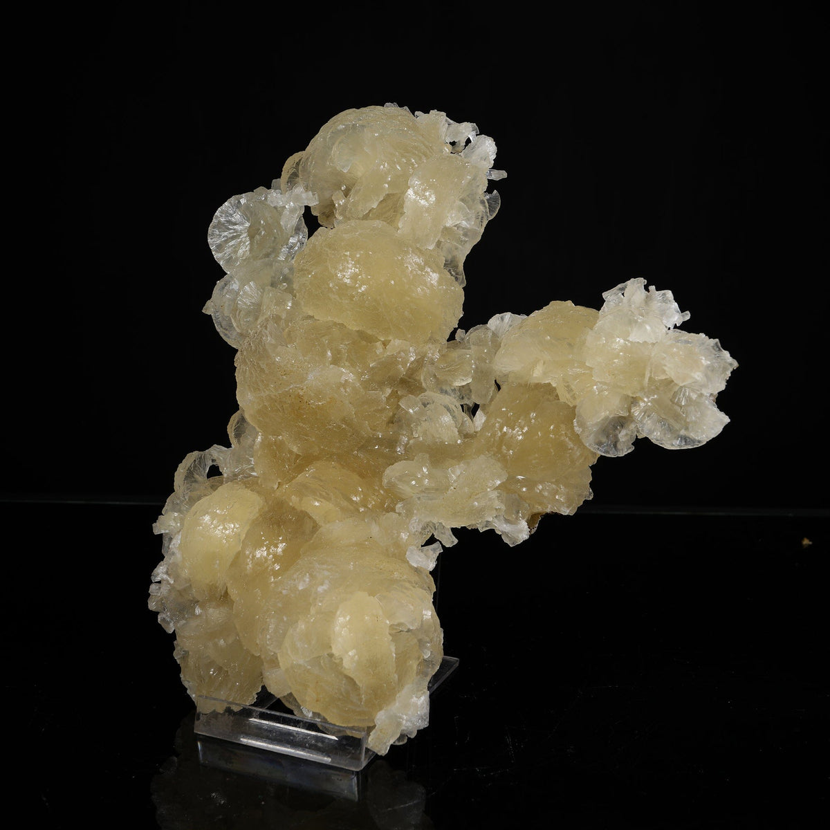 Rare Yellow Stellerite Floater Crystal Specimen – Unique 180-Degree Spherical Rosette Cluster # B 7246 Stellerite Superb Minerals 