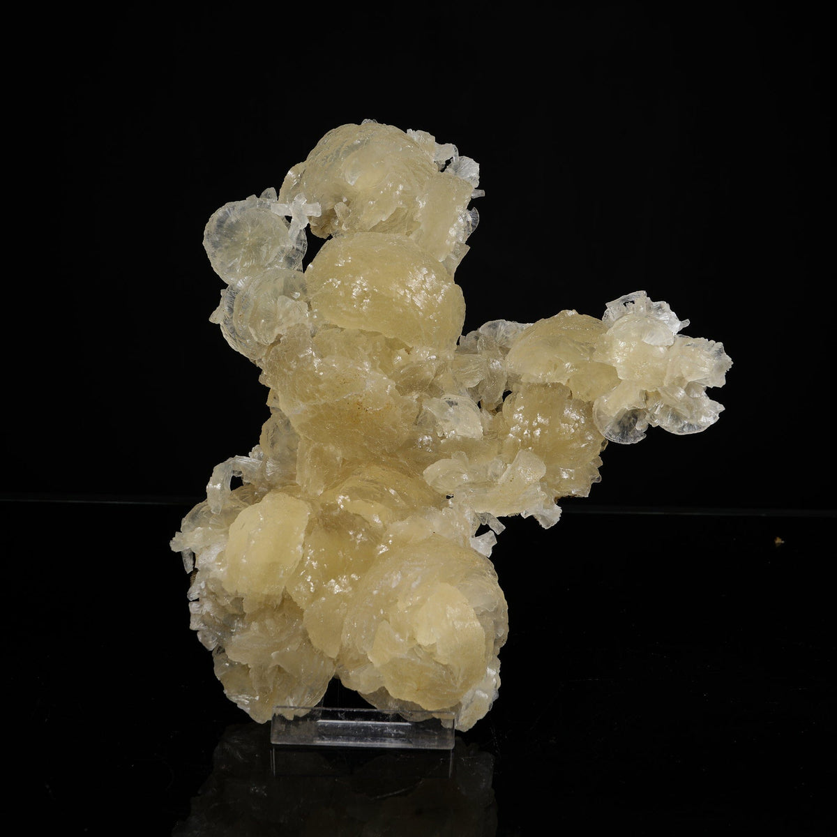 Rare Yellow Stellerite Floater Crystal Specimen – Unique 180-Degree Spherical Rosette Cluster # B 7246 Stellerite Superb Minerals 