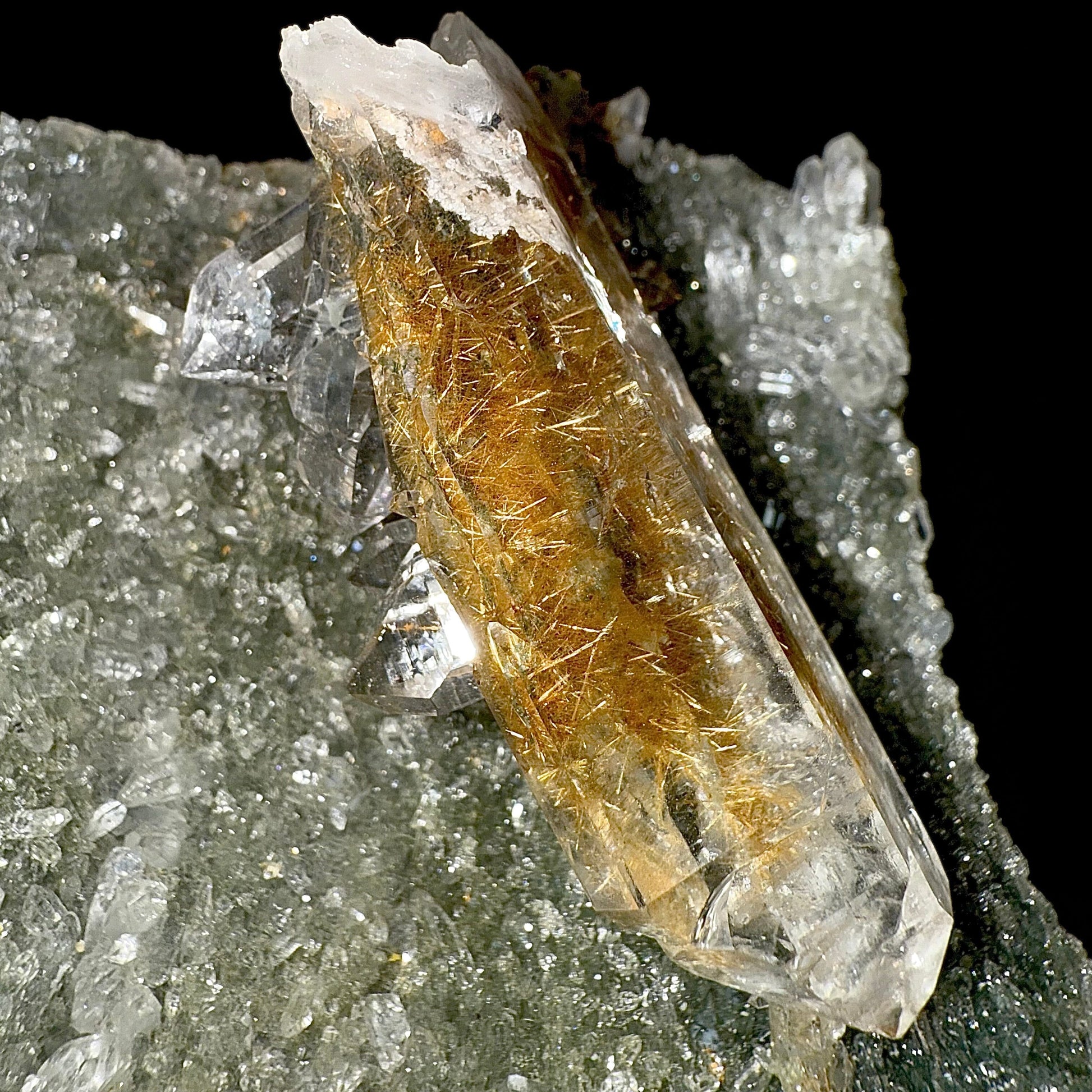 Rutile in Clear Quartz on Chlorite | SELF STANDING | High Quality Mineral | Indian Mineral | Superb Minerals | Collectors Piece Rutile Superb Minerals 