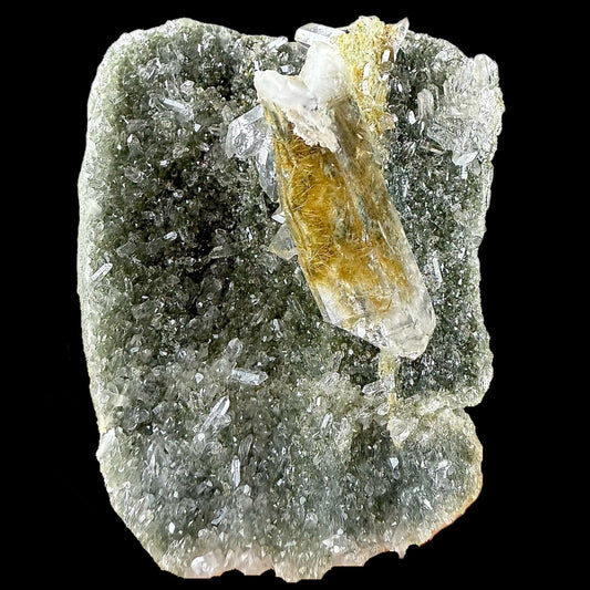 Rutile in Clear Quartz on Chlorite | SELF STANDING | High Quality Mineral | Indian Mineral | Superb Minerals | Collectors Piece Rutile Superb Minerals 