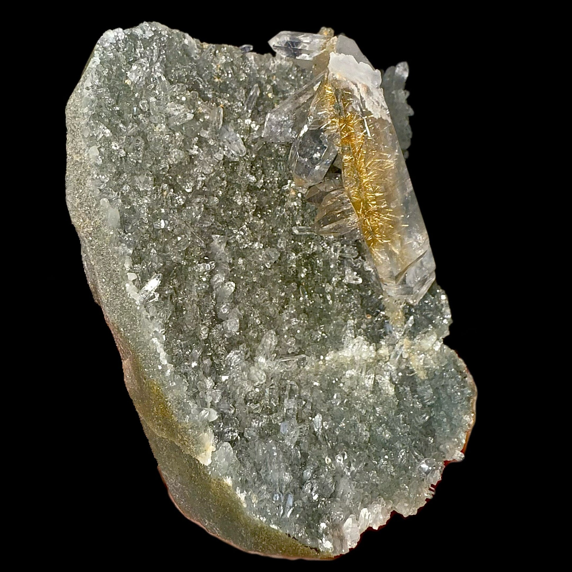 Rutile in Clear Quartz on Chlorite | SELF STANDING | High Quality Mineral | Indian Mineral | Superb Minerals | Collectors Piece Rutile Superb Minerals 