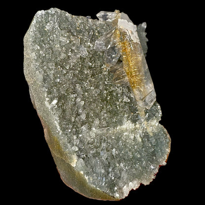 Rutile in Clear Quartz on Chlorite | SELF STANDING | High Quality Mineral | Indian Mineral | Superb Minerals | Collectors Piece Rutile Superb Minerals 