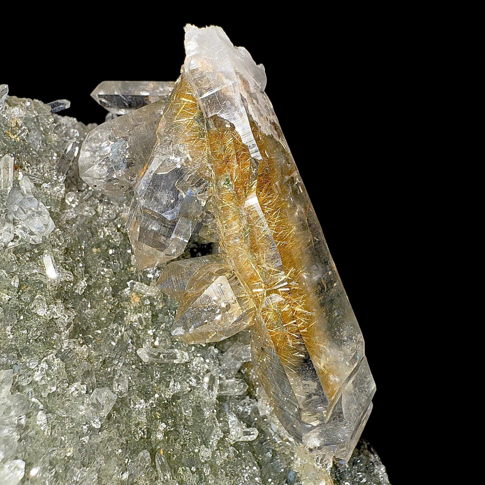 Rutile in Clear Quartz on Chlorite | SELF STANDING | High Quality Mineral | Indian Mineral | Superb Minerals | Collectors Piece Rutile Superb Minerals 