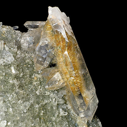 Rutile in Clear Quartz on Chlorite | SELF STANDING | High Quality Mineral | Indian Mineral | Superb Minerals | Collectors Piece Rutile Superb Minerals 