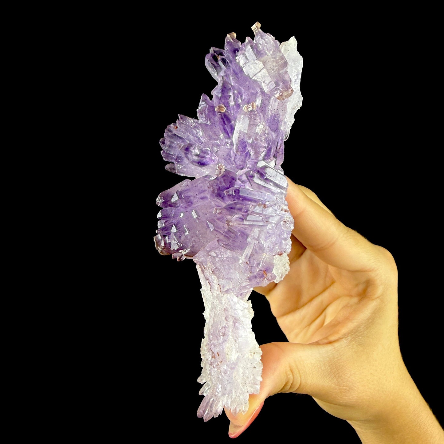 Scepter Amethyst Cluster - Collector’s Gem Specimen from Karur, Tamil Nadu, India DKT143 Amethyst Superb Minerals 