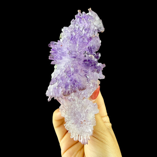 Scepter Amethyst Cluster - Collector’s Gem Specimen from Karur, Tamil Nadu, India DKT143 Amethyst Superb Minerals 