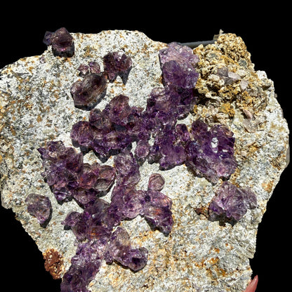 Sceptre Amethyst Cluster on Matrix – Natural Purple Crystal Specimen from Karur, India DKT121 Amethyst Superb Minerals 