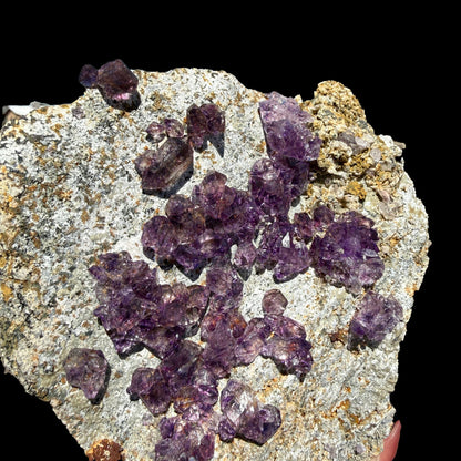 Sceptre Amethyst Cluster on Matrix – Natural Purple Crystal Specimen from Karur, India DKT121 Amethyst Superb Minerals 