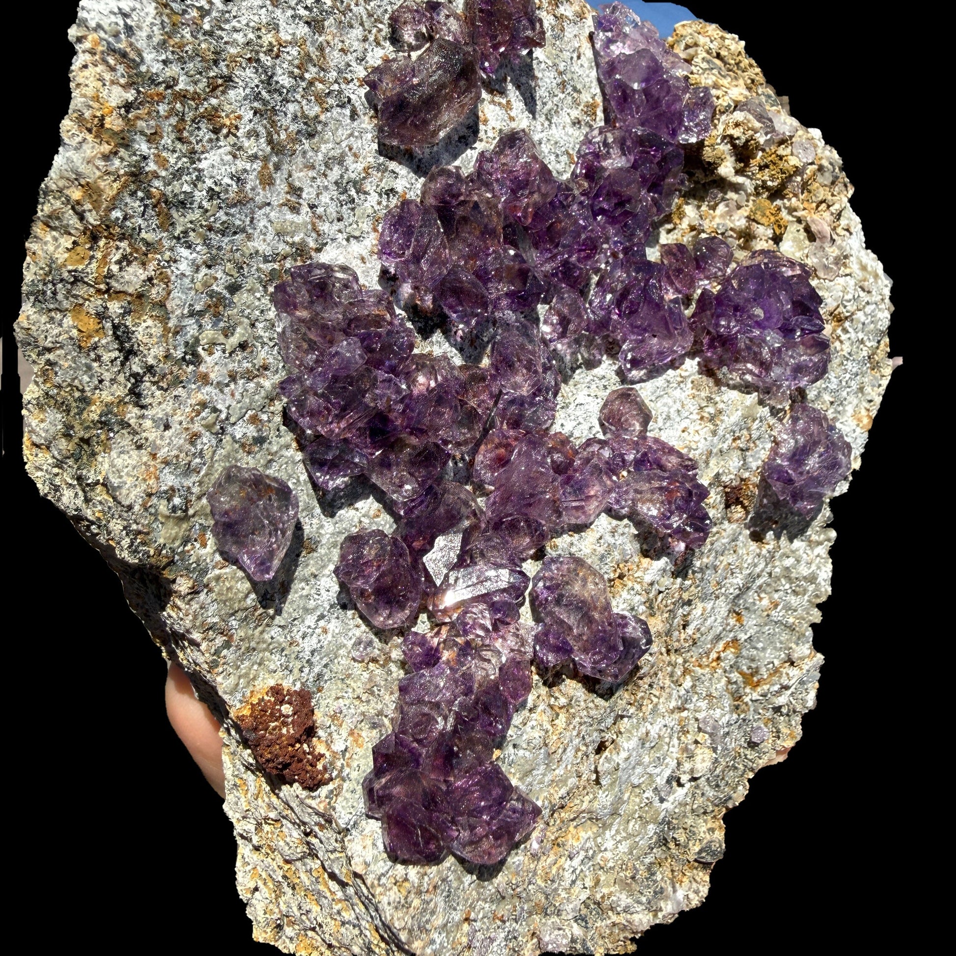 Sceptre Amethyst Cluster on Matrix – Natural Purple Crystal Specimen from Karur, India DKT121 Amethyst Superb Minerals 