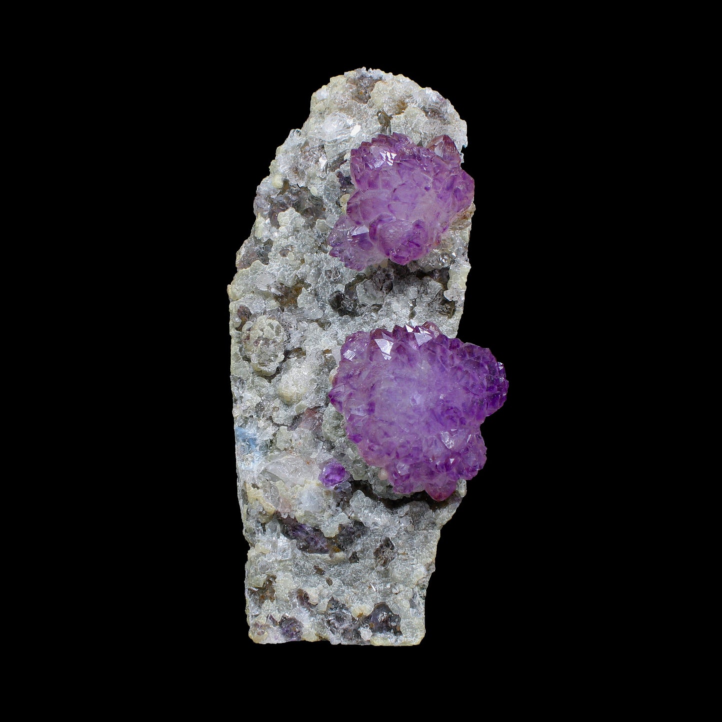 Sceptre Amethyst Flower - Free Standing Natural Mineral Specimen from Karur , India | # B 7136 Amethyst Superb Minerals 