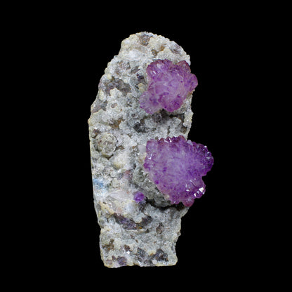 Sceptre Amethyst Flower - Free Standing Natural Mineral Specimen from Karur , India | # B 7136 Amethyst Superb Minerals 