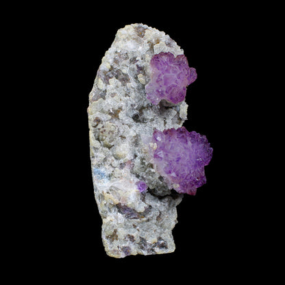 Sceptre Amethyst Flower - Free Standing Natural Mineral Specimen from Karur , India | # B 7136 Amethyst Superb Minerals 
