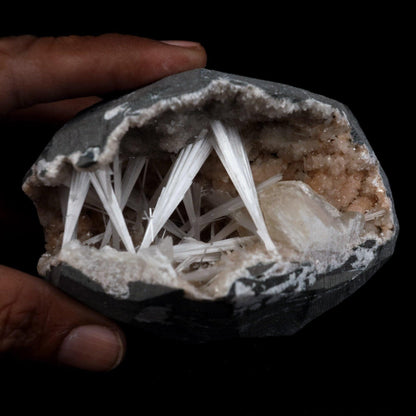 Scolecite Intergrown Sprays Inside Heulandite Geode Natural Mineral Sp…  https://www.superbminerals.us/products/scolecite-intergrown-sprays-inside-heulandite-geode-natural-mineral-specimen-b-4792  Features: A huge Geode with beige Heulandite crystals