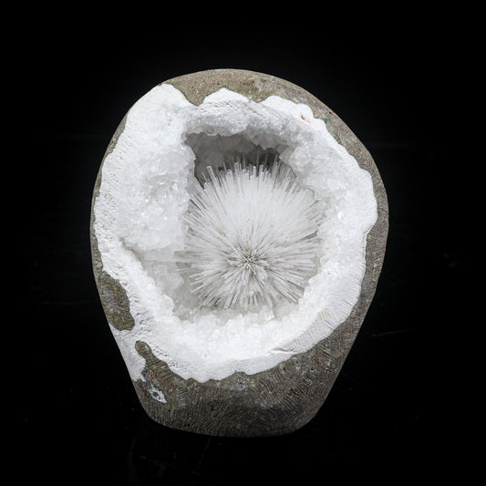 Scolecite Spray Geode With MM Quartz Natural Mineral Specimen # B 6999 Scolecite Superb Minerals 