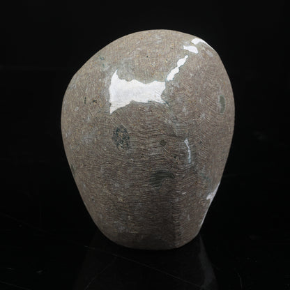 Scolecite Spray Geode With MM Quartz Natural Mineral Specimen # B 6999 Scolecite Superb Minerals 