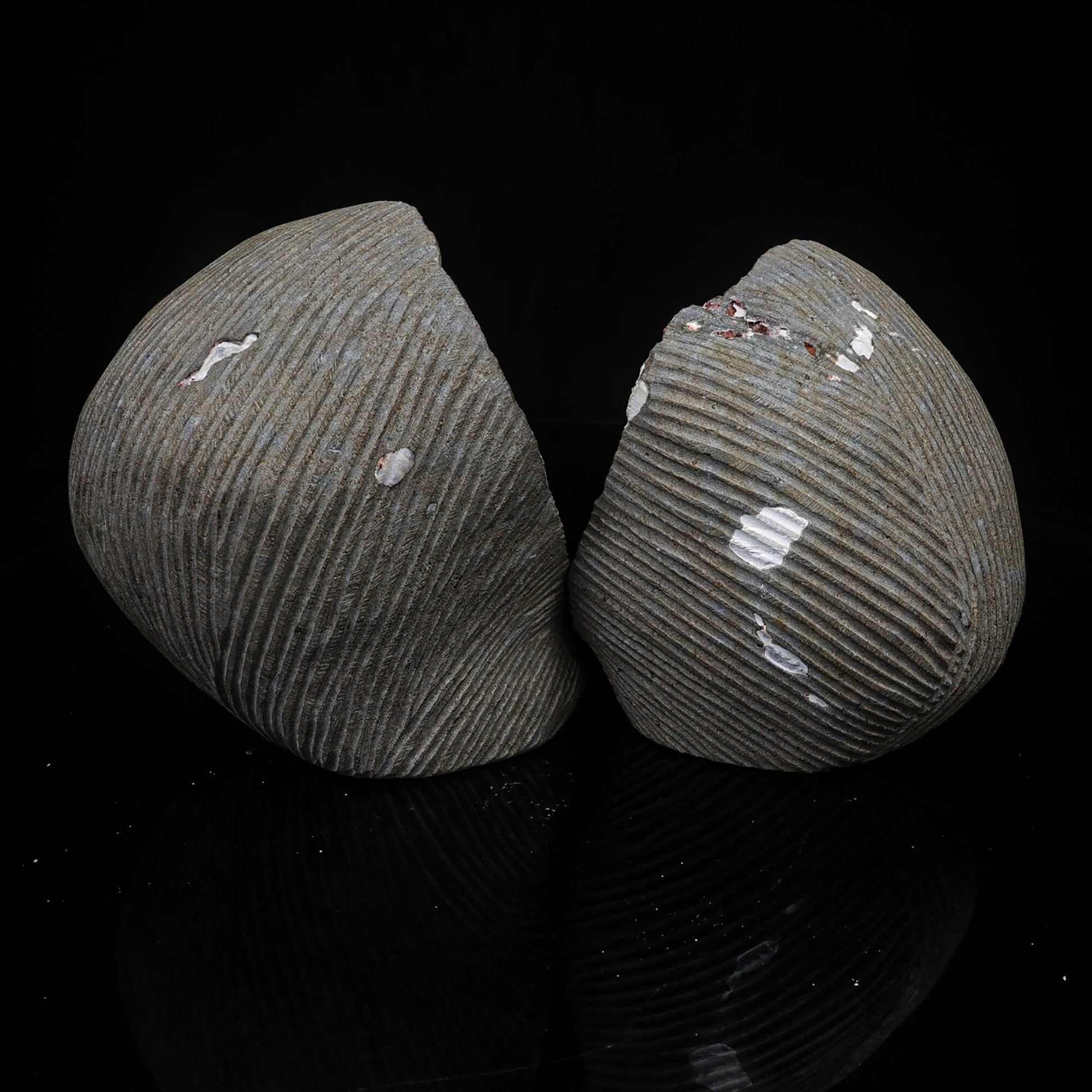Scolecite Spray Inside Complete Geode Natural Mineral Specimen # B 7029 Scolecite Superb Minerals 