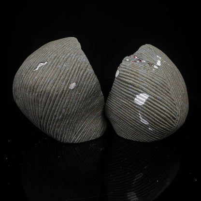 Scolecite Spray Inside Complete Geode Natural Mineral Specimen # B 7029 Scolecite Superb Minerals 