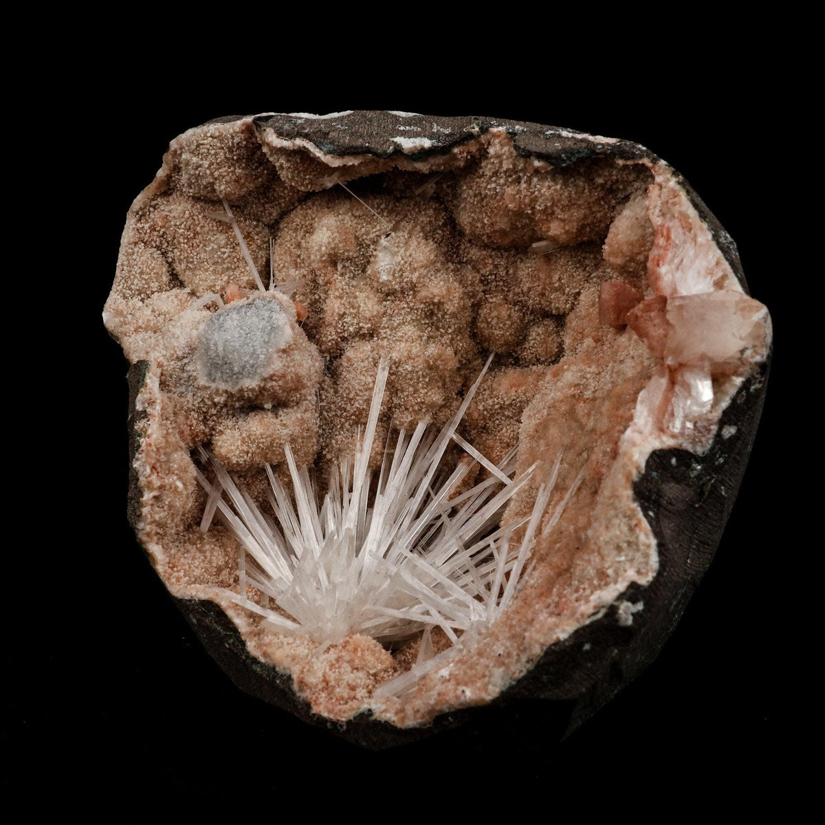 Scolecite Sprays Fan Inside Heulandite Geode Natural Mineral Specimen …  https://www.superbminerals.us/products/scolecite-sprays-fan-inside-heulandite-geode-natural-mineral-specimen-b-5133  Features: A large, free-standing Geode with peach-colored He