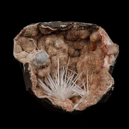 Scolecite Sprays Fan Inside Heulandite Geode Natural Mineral Specimen …  https://www.superbminerals.us/products/scolecite-sprays-fan-inside-heulandite-geode-natural-mineral-specimen-b-5133  Features: A large, free-standing Geode with peach-colored He
