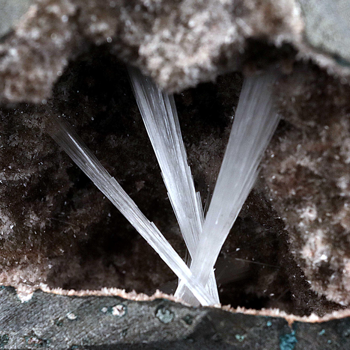 Scolecite Sprays Inside Geode Natural Mineral Specimen # B 4650  https://www.superbminerals.us/products/scolecite-sprays-inside-geode-natural-mineral-specimen-b-4650  Features: A lovely item with a geode lined with beige, glossy Heulandite crystals.
