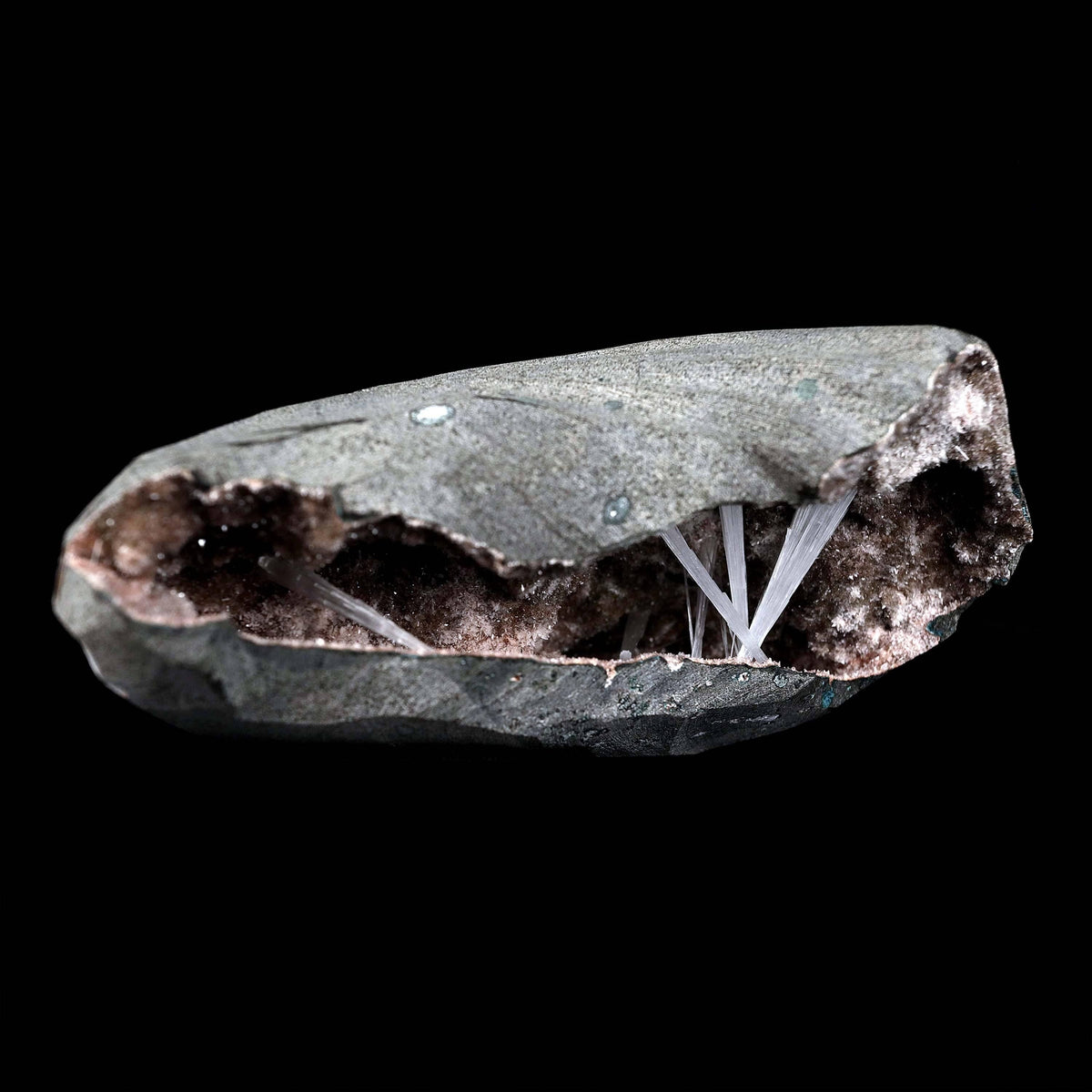 Scolecite Sprays Inside Geode Natural Mineral Specimen # B 4650  https://www.superbminerals.us/products/scolecite-sprays-inside-geode-natural-mineral-specimen-b-4650  Features: A lovely item with a geode lined with beige, glossy Heulandite crystals.