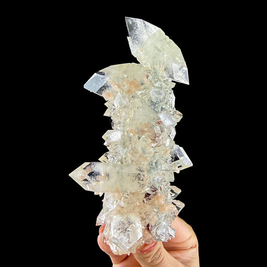 Sharp Terminated Apophyllite with Stilbite Cluster – Natural Zeolite Crystal Specimen | Clear Apophyllite Points, Collector Mineral Display # DKT43 Apophyllite Superb Minerals 