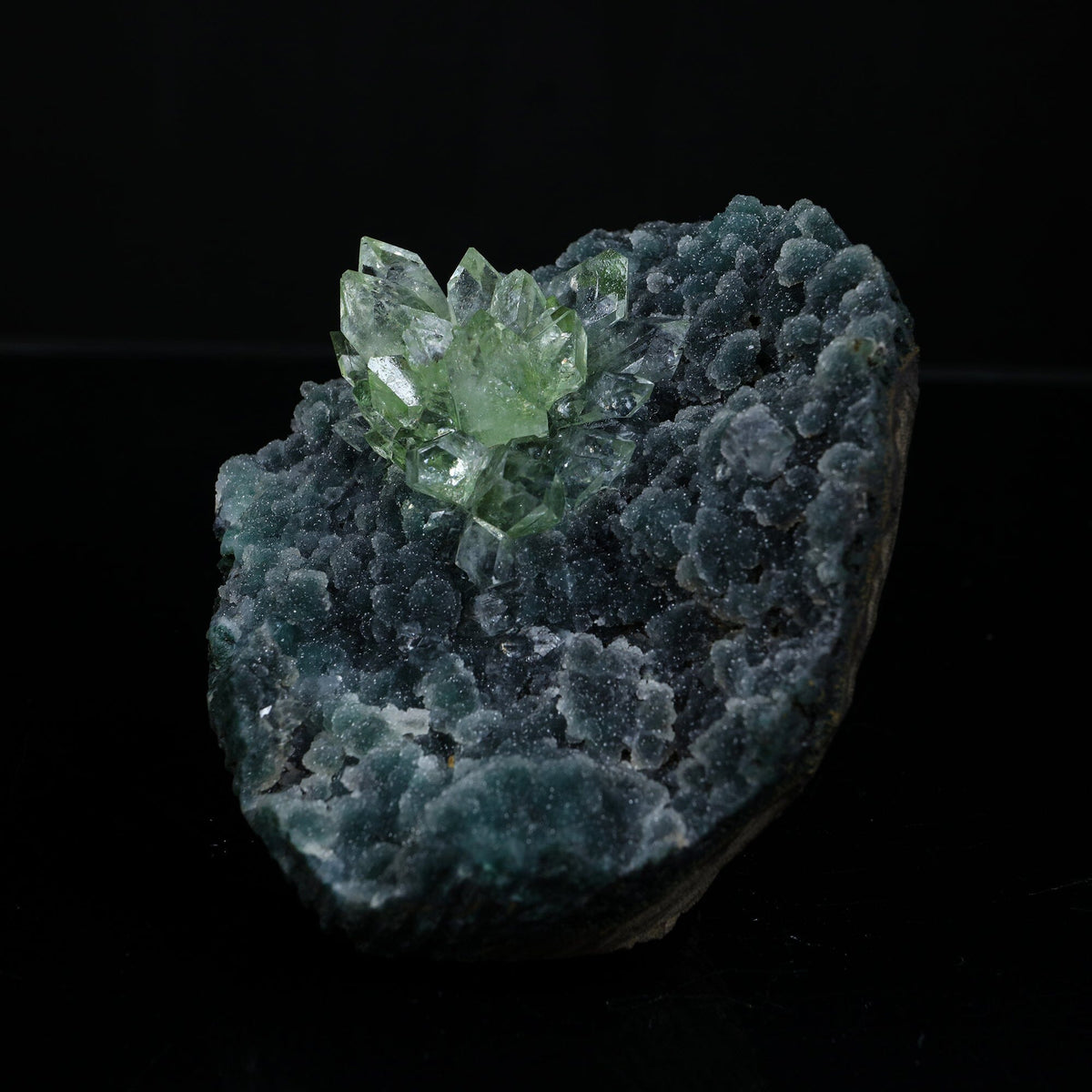 Sharp Terminated Green Apophyllite Cluster on Shimmering Dark Green Chalcedony Matrix – Natural Indian Zeolite Mineral Specimen from Jalgaon, Maharashtra # B 7237 Apophyllite Superb Minerals 