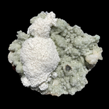 Snowy White Mordenite Puff on Sparkling Greenish Calcite Cluster Matrix – Rare Indian Zeolite Mineral Specimen # DKT128 Mordenite Superb Minerals 