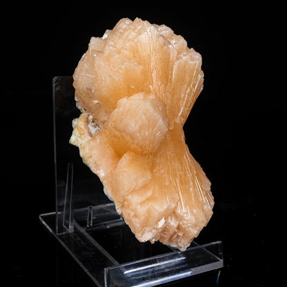 Stilbite Bow Natural Mineral Specimen