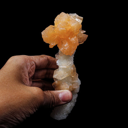 Stilbite With Chalcedony Natural Mineral Specimen # B 6879 Stilbite Superb Minerals 