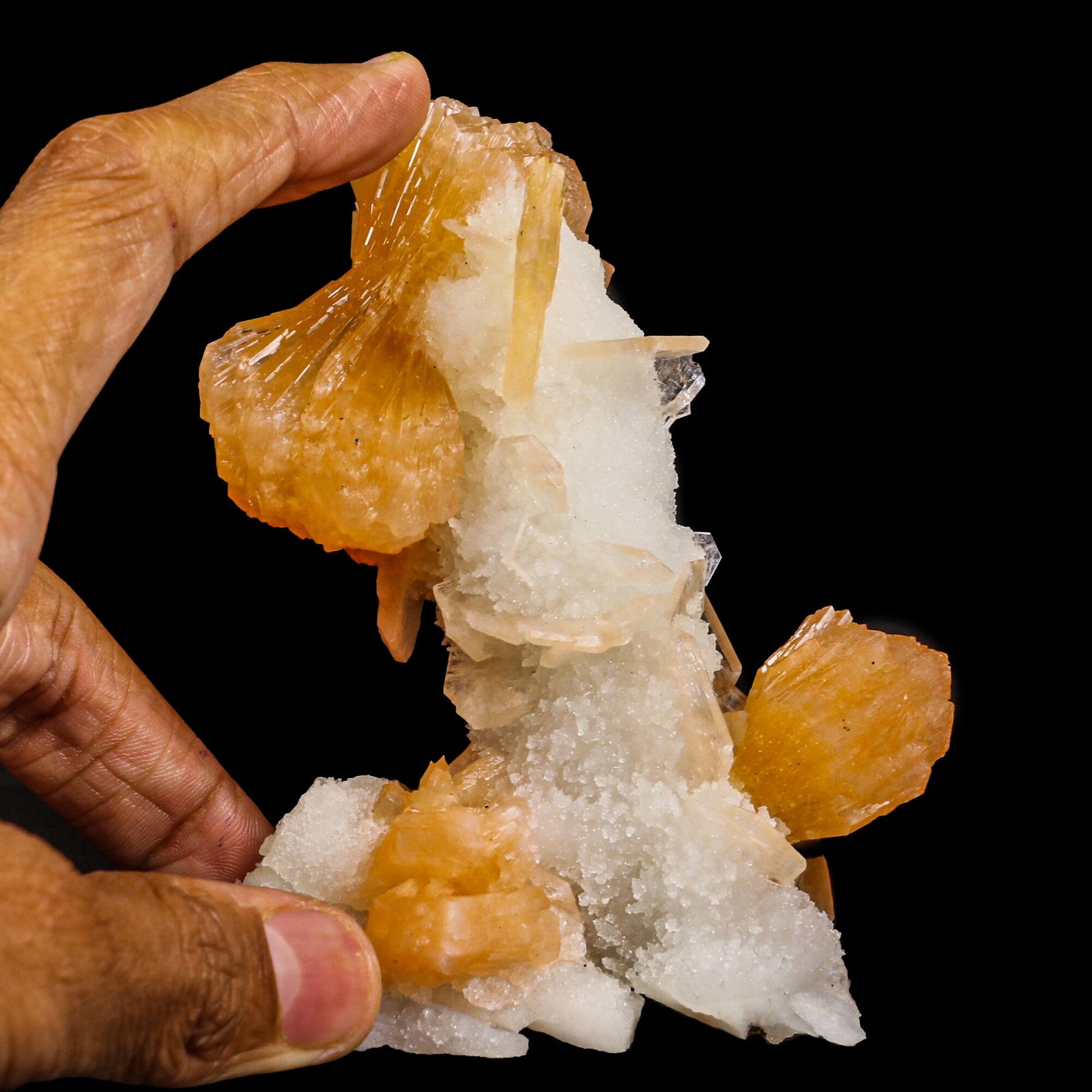 Stilbite With Chalcedony Natural Mineral Specimen # B 6887 Stilbite Superb Minerals 