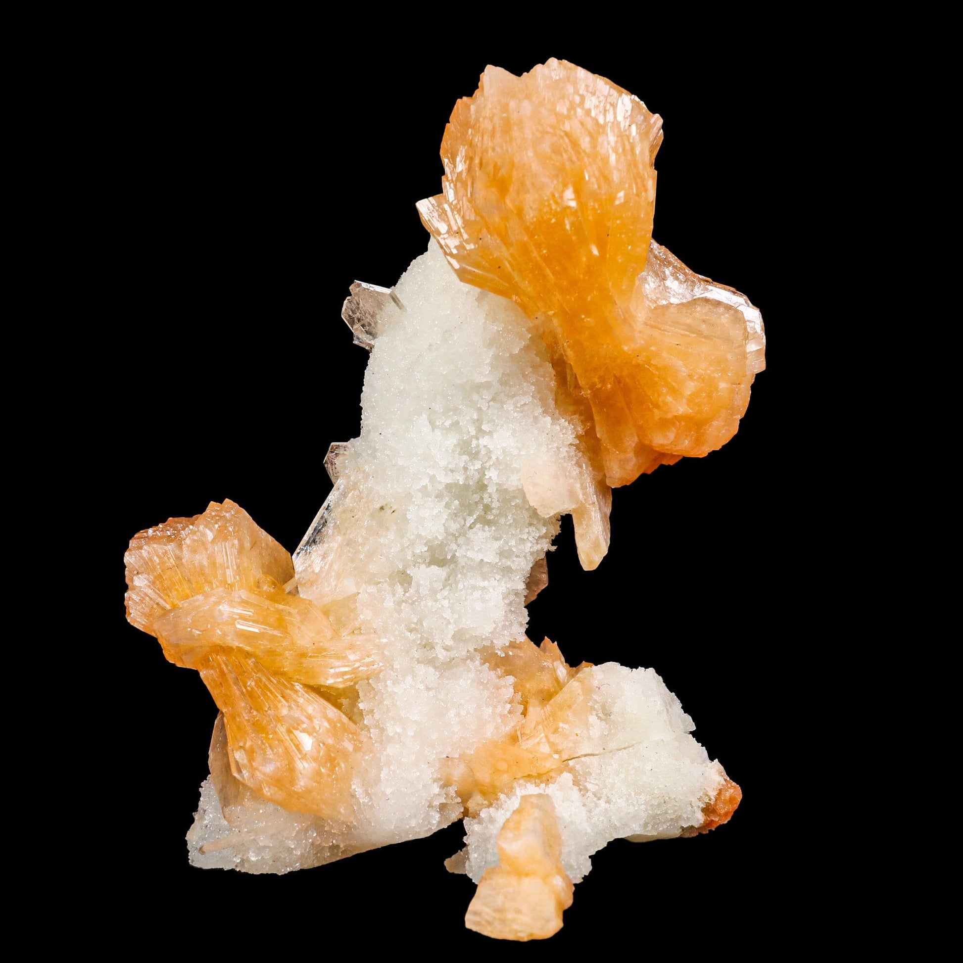 Stilbite With Chalcedony Natural Mineral Specimen # B 6887 Stilbite Superb Minerals 