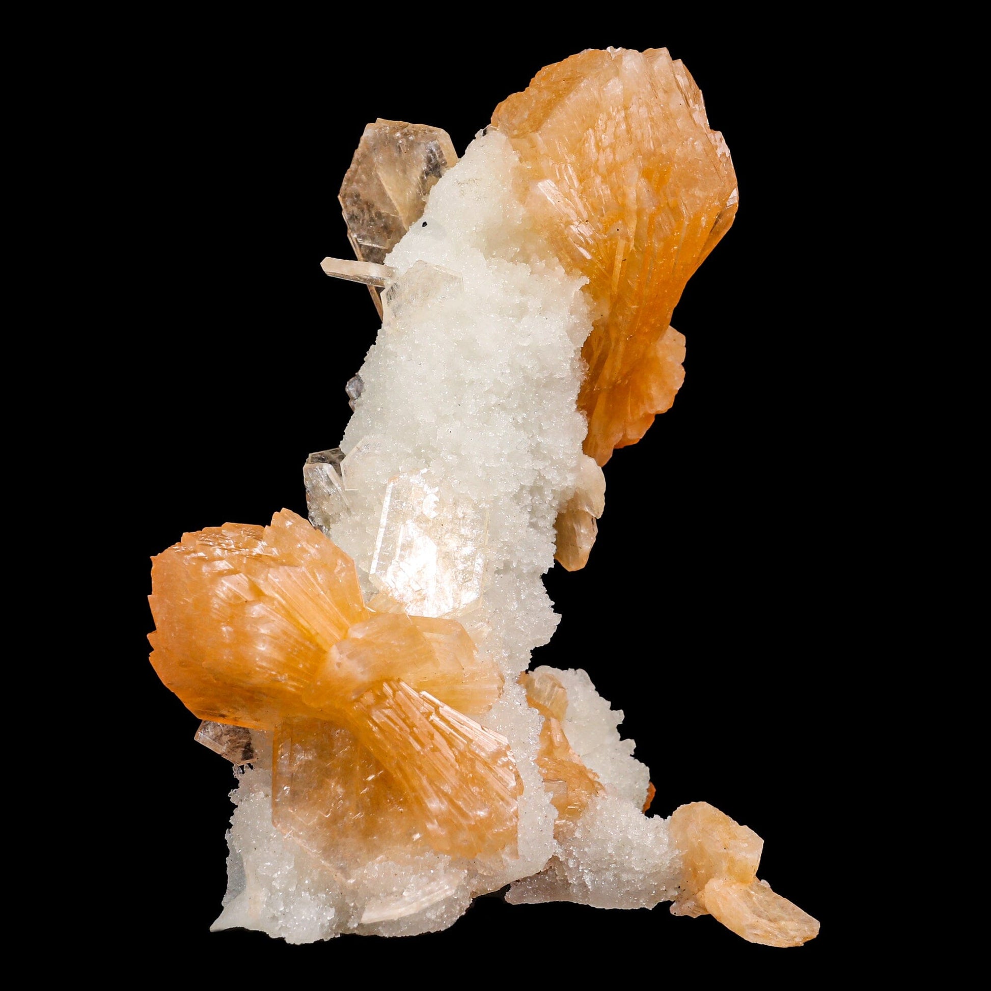 Stilbite With Chalcedony Natural Mineral Specimen # B 6887 Stilbite Superb Minerals 