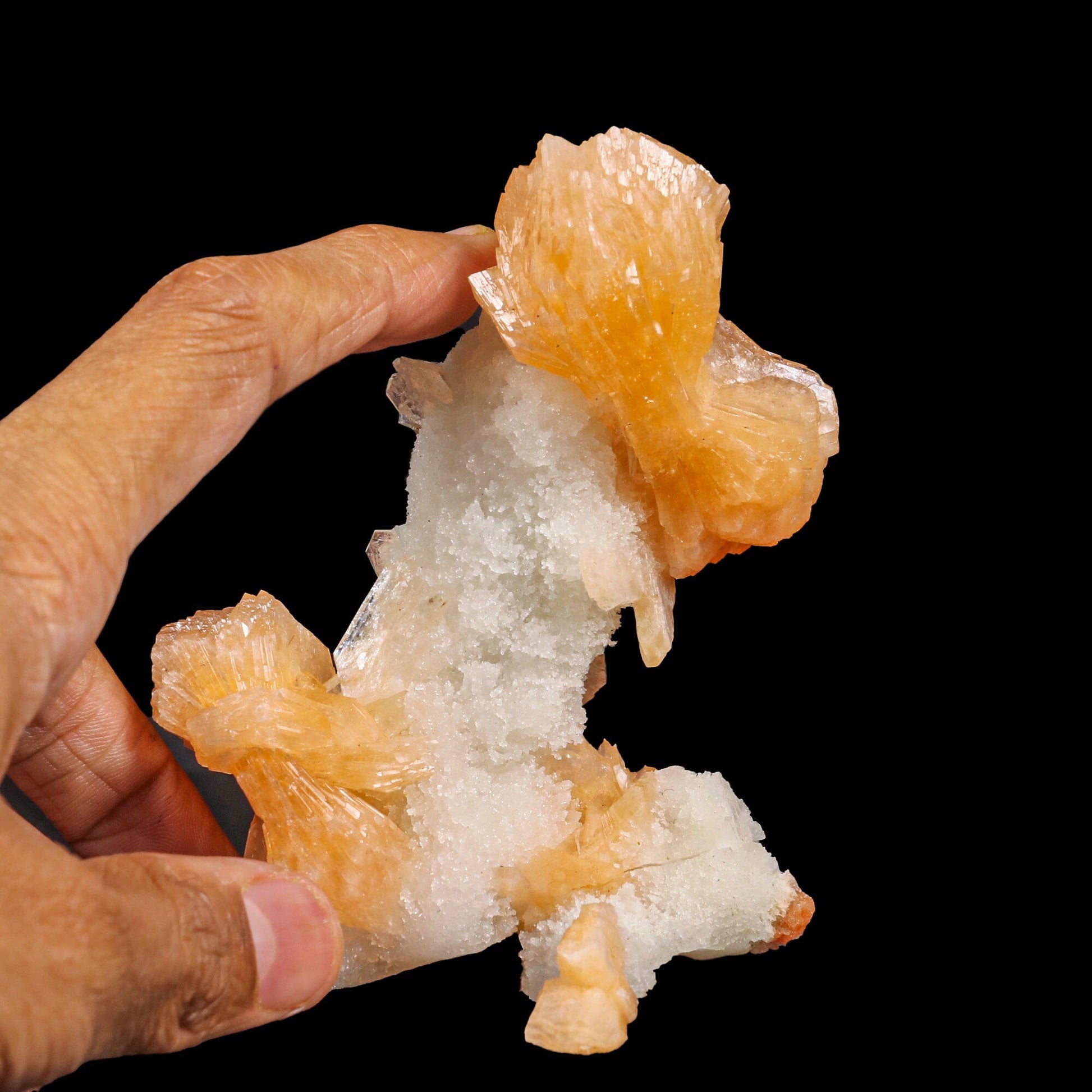 Stilbite With Chalcedony Natural Mineral Specimen # B 6887 Stilbite Superb Minerals 