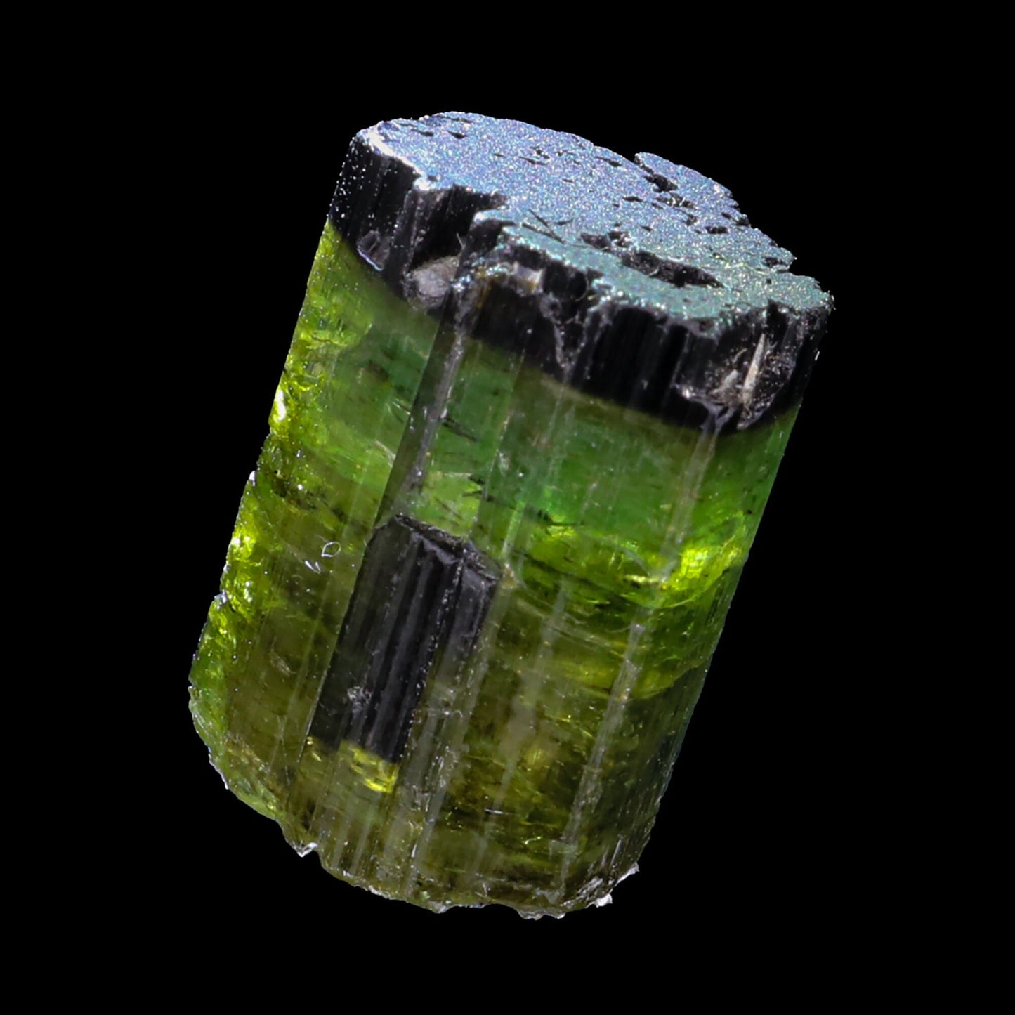 Terminated Deep Green Tourmaline Natural Mineral Specimen # B 6848