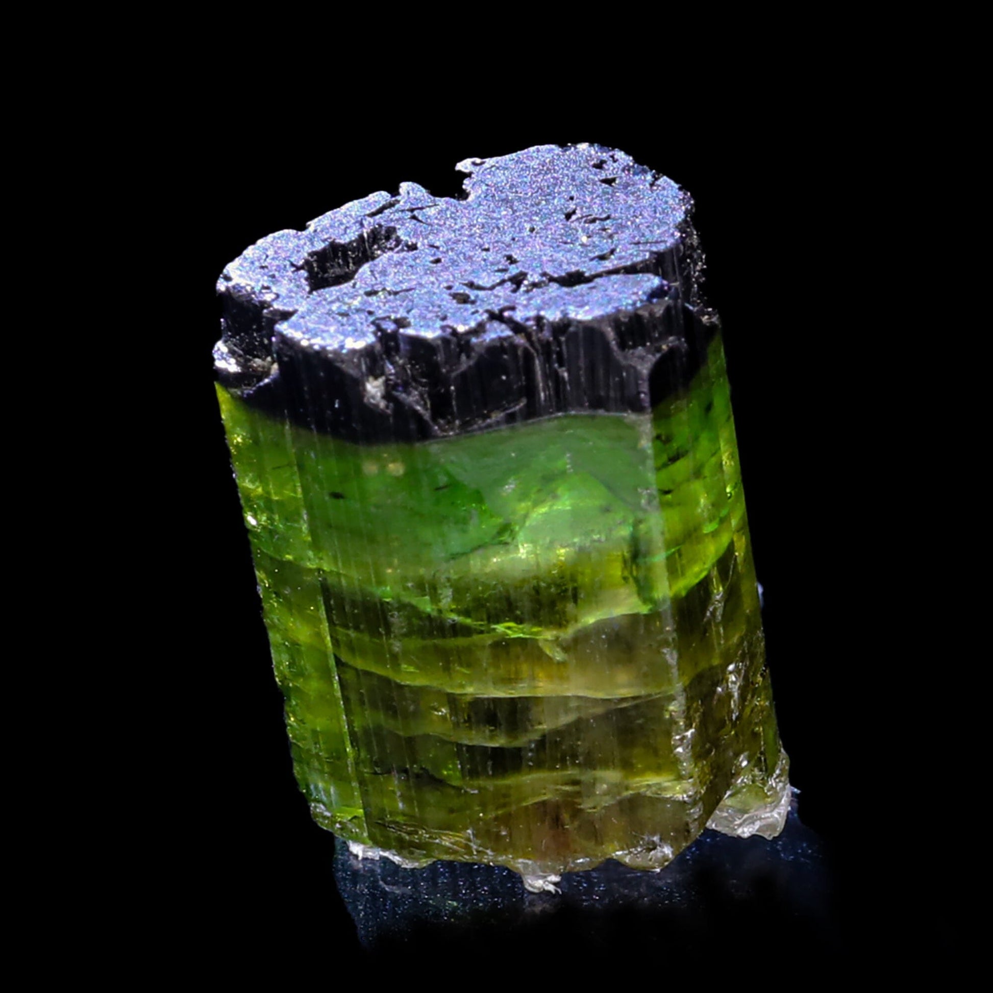 Terminated Deep Green Tourmaline Natural Mineral Specimen # B 6848