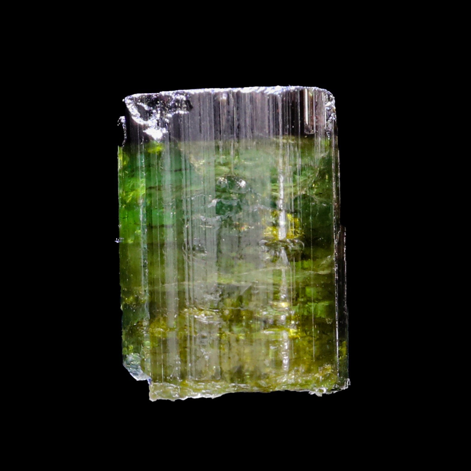 Terminated Deep Green Tourmaline Natural Mineral Specimen # B 6848