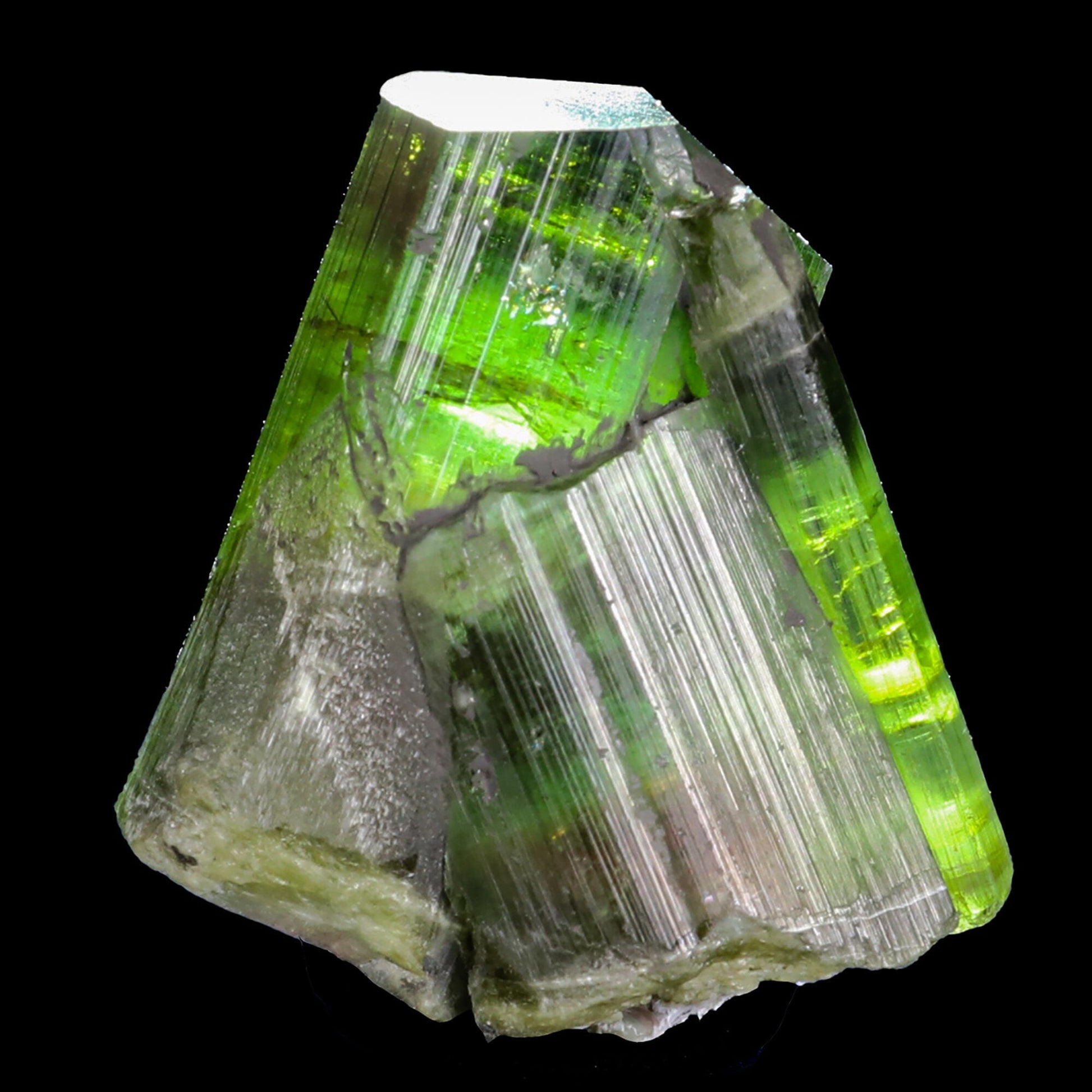 Terminated Deep Green Tourmaline Natural Mineral Specimen # B 6851