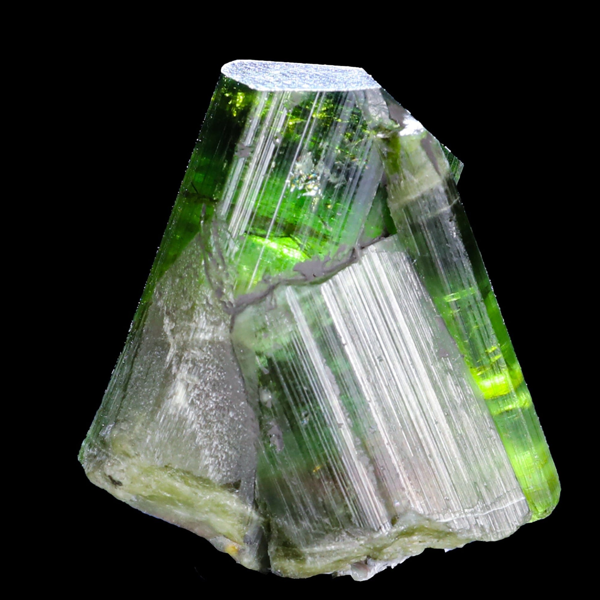 Terminated Deep Green Tourmaline Natural Mineral Specimen # B 6851